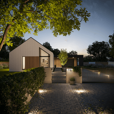 Projekt domu Modern House 719