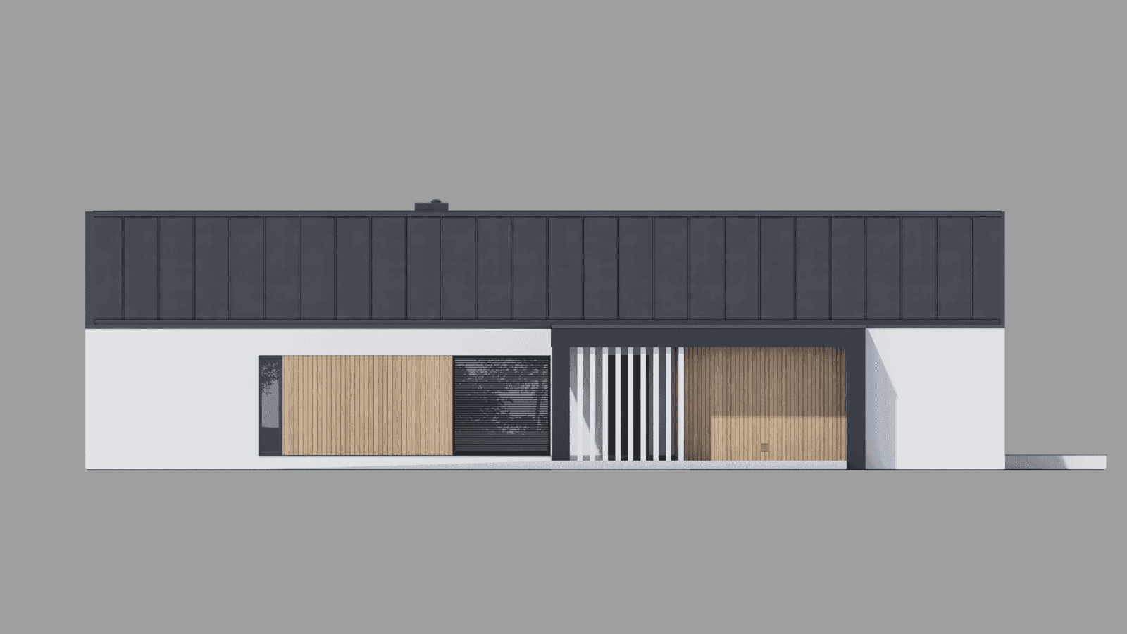 Elewacja boczna domu New House 719 w1