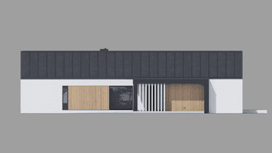 Elewacja boczna domu New House 719 w1