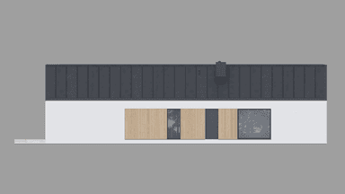 Elewacja boczna domu New House 719 w1