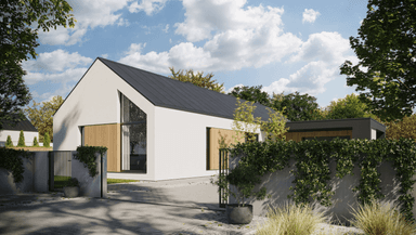 Wizualizacja domu jednorodzinnego New House 719 w1