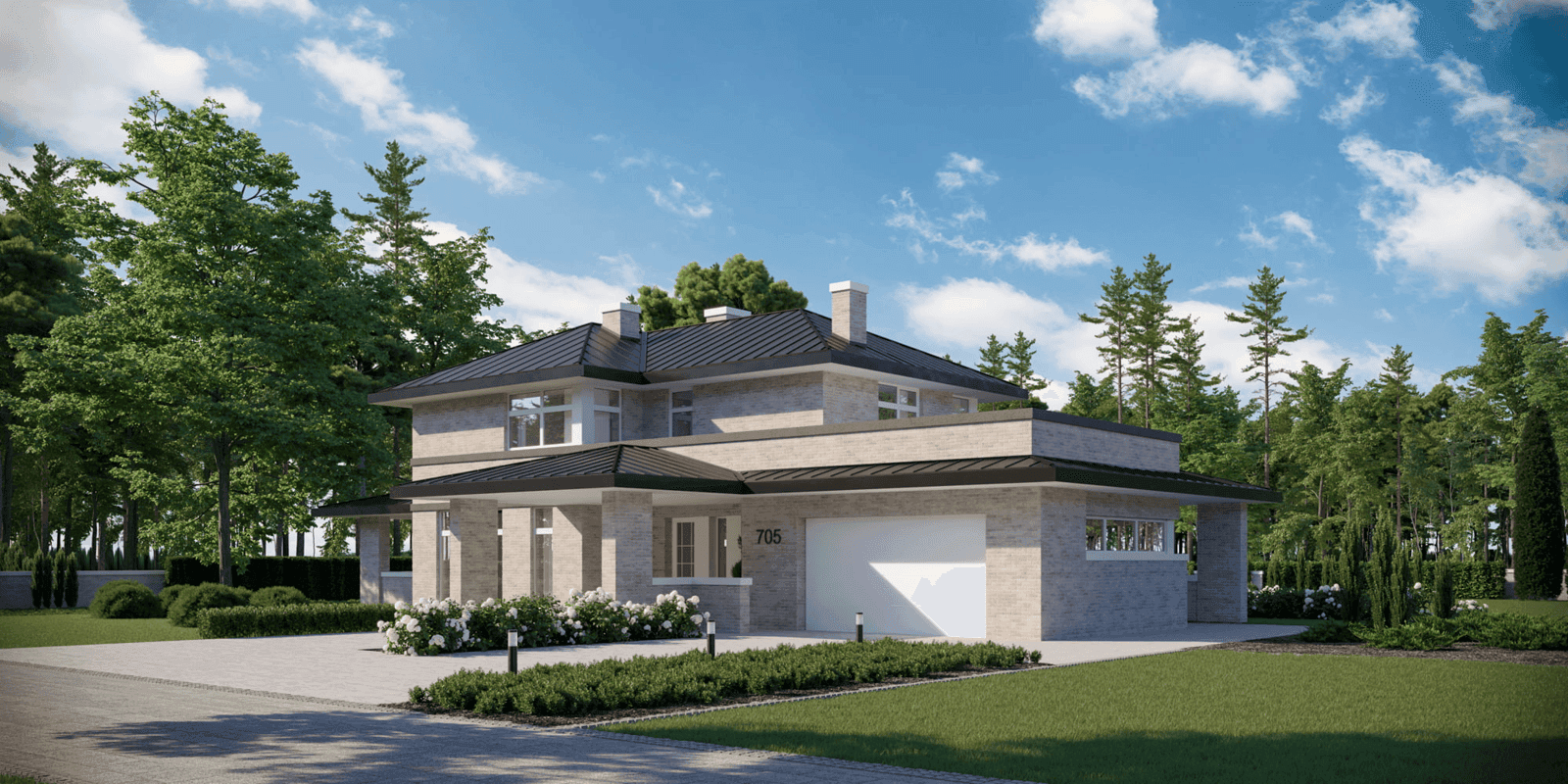 Wizualizacja domu jednorodzinnego New House 705