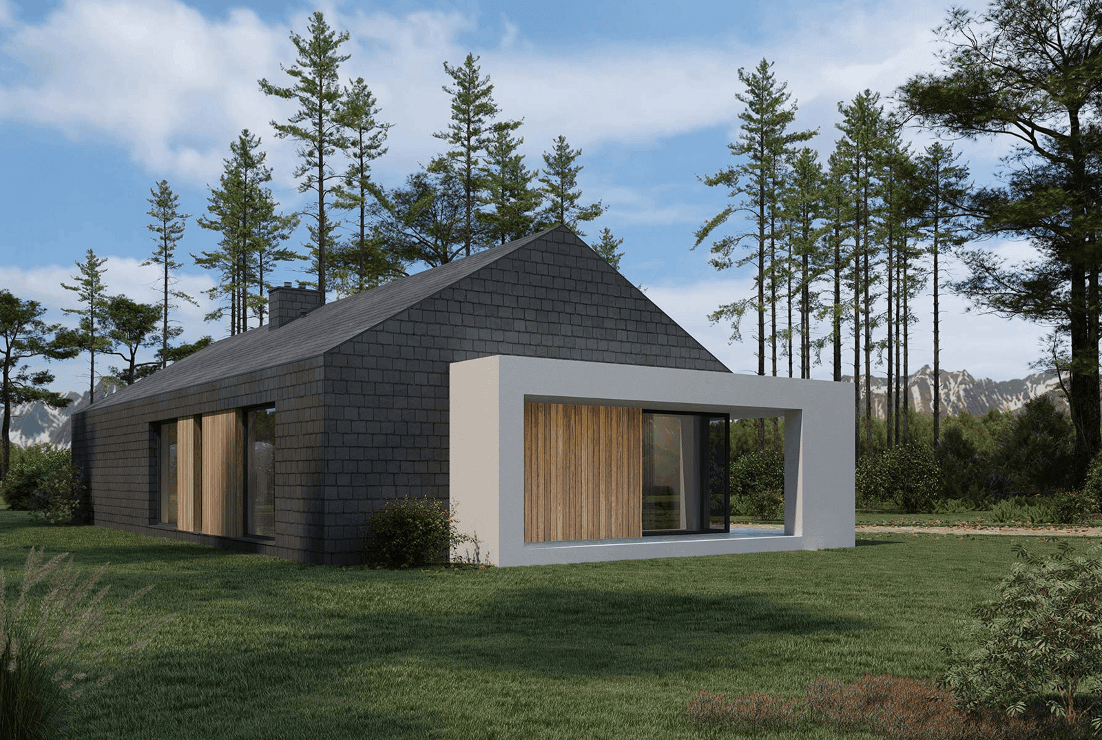 Wizualizacja domu jednorodzinnego New House 714