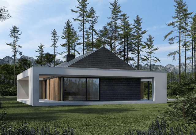 Wizualizacja domu jednorodzinnego New House 716