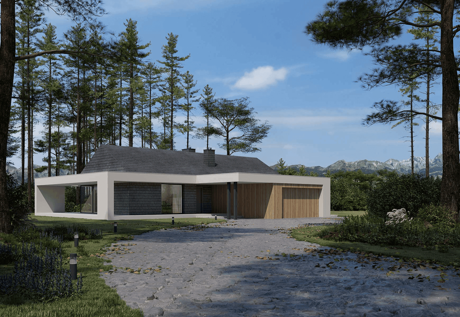 Wizualizacja domu jednorodzinnego New House 716