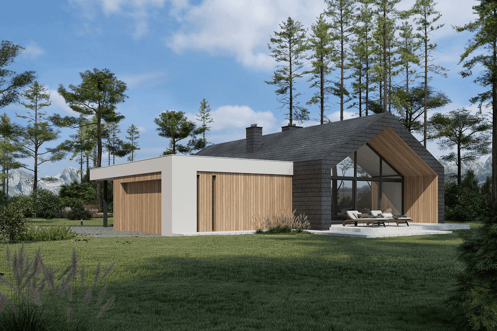 Wizualizacja domu jednorodzinnego New House 716