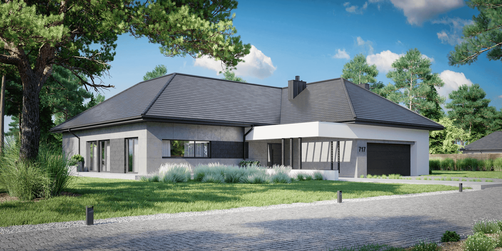 Wizualizacja domu jednorodzinnego New House 717