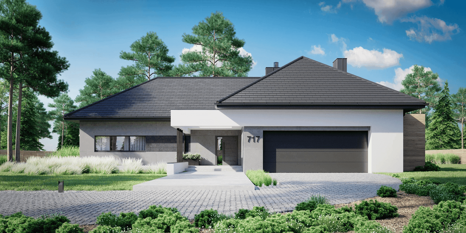 Wizualizacja domu jednorodzinnego New House 717