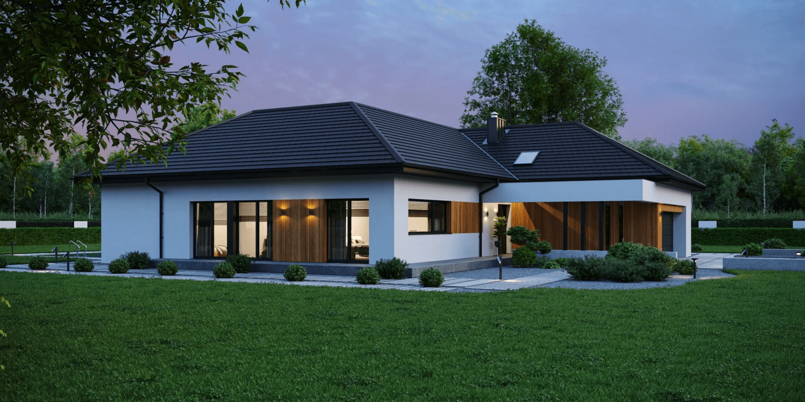 Projekt New house 717