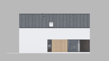 Elewacja boczna projektu domu New House 754