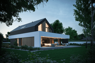 Projekt New House 790 w1