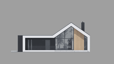 Elewacja tylna projektu domu New House 719