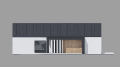 Elewacja boczna projektu domu New House 719