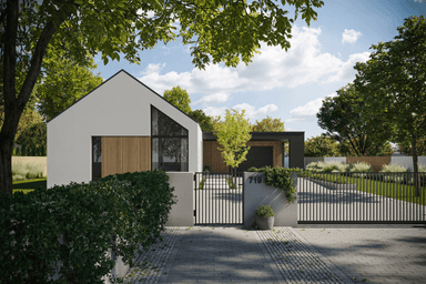 Wizualizacja domu jednorodzinnego New House 719