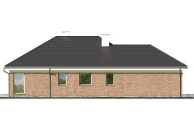 Elewacja boczna w projekcie domu Eco39