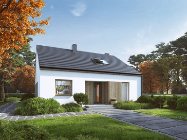 Wizualizacja projektu domu Eco 43