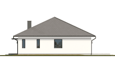 Elewacja projektu domu Eco 46