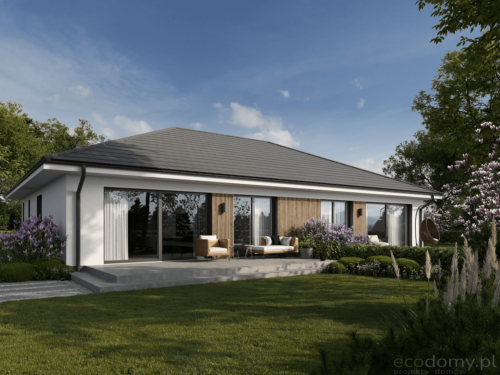 Wizualizacja projektu domu Eco 46