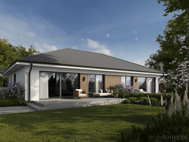 Wizualizacja projektu domu Eco 46