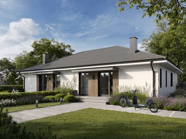 Wizualizacja projektu domu Eco 46