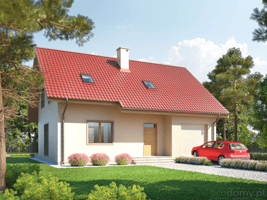 Wizualizacja projekt domu Eco 01