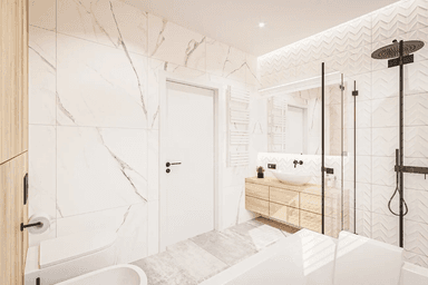 Projekt bliźniak Igor