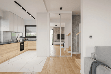 Projekt domu Igor Duolit