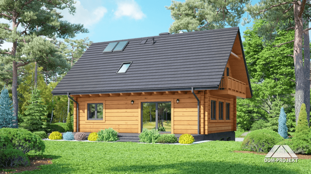 Widok na dom jednorodzinny Bartne dw 29 - dom z budową