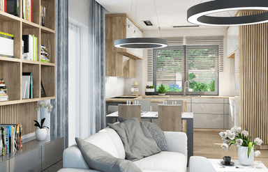 Wizualizacja domu jednorodzinnego Isia