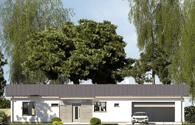 Elewacja frontowa domu Nina F Plus