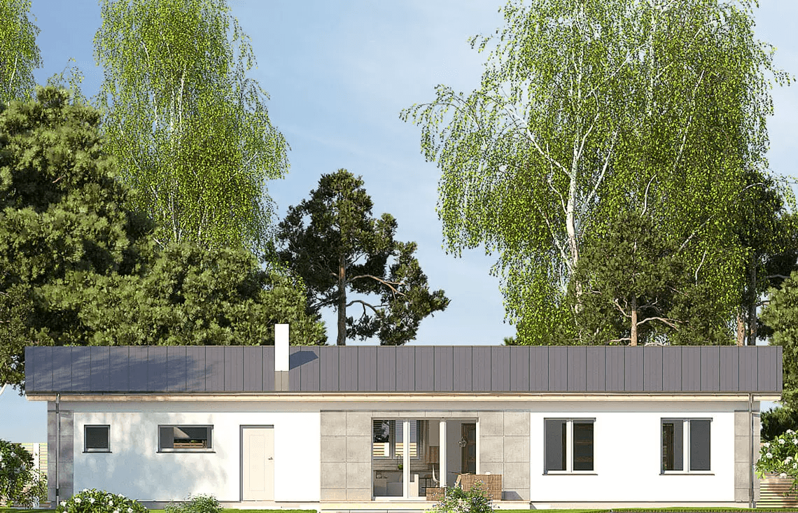 Elewacja ogrodowa domu Nina F Plus