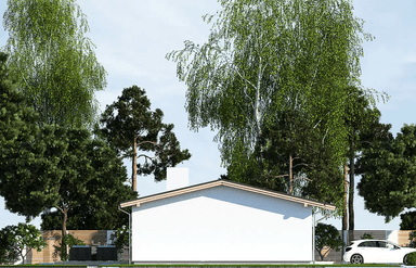 Elewacja boczna domu Nina F Plus