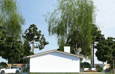 Elewacja boczna domu Nina F Plus