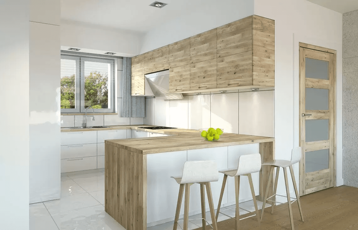 Wizualizacja domu jednorodzinnego Nina F Plus