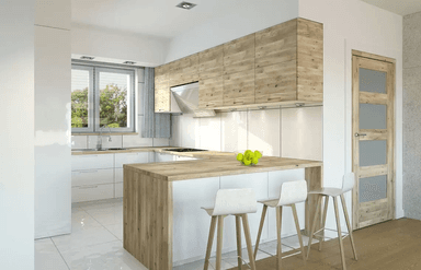 Wizualizacja domu jednorodzinnego Nina F Plus