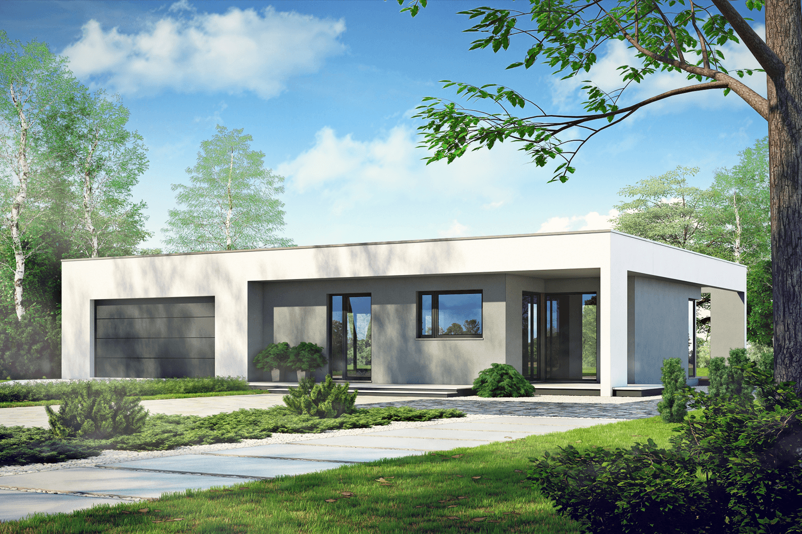 Wizualizacja domu parterowego z dachem płaskim Aktywny D23