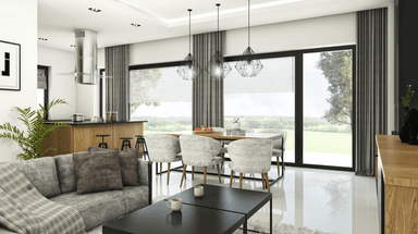 Wizualizacja projektu domu Otwarty D42 wariant II widok na salon i ogród