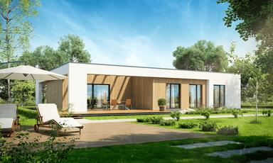 Wizualizacja projektu domu Płaski D11 widok z ogrodu