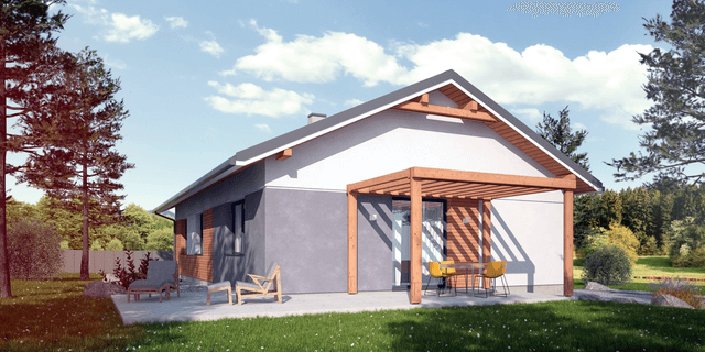 Wizualizacja domu jednorodzinnego Basicus I