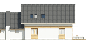elewacja tylna domu jednorodzinnego Fraternus I G1