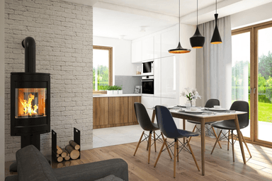 Wizualizacja domu jednorodzinnego Fraternus I G1