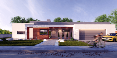 Projekt budynku parterowego z dachem płaskim Illecebrosus I G2