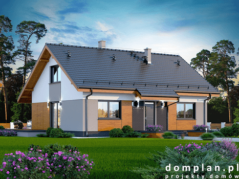 Wizualizacja domu jednorodzinnego Santia Bis