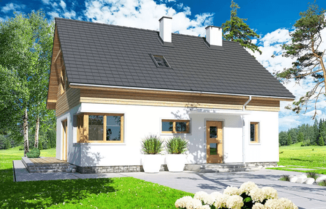 Wizualizacja domu jednorodzinnego Jantar A